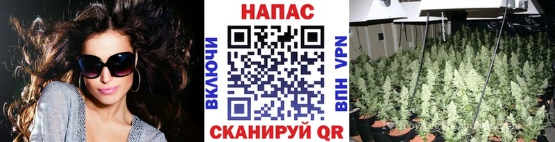 Наркотические вещества Белорецк Alpha-PVP  Каннабис  Галлюциногенные грибы  ГАШ  МЕФ 