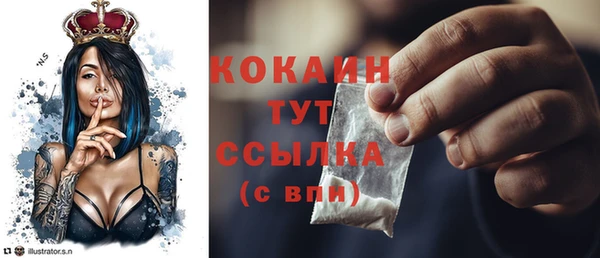 дживик Богданович