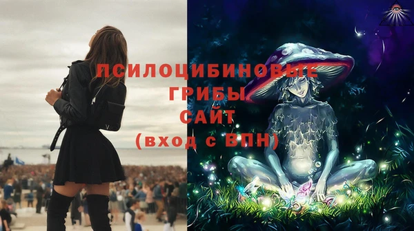 apvp Белоозёрский