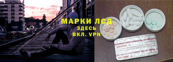 прущие грибы Богородицк